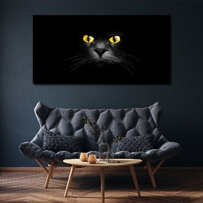 Foto auf leinwand Goldene Augen einer Katze im Schatten