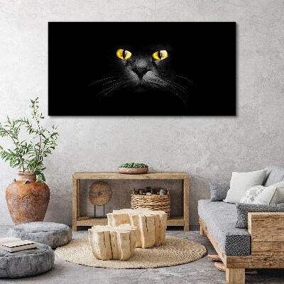 Foto auf leinwand Goldene Augen einer Katze im Schatten