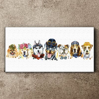 Foto auf leinwand Hunde in modischen Accessoires