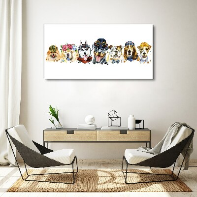Foto auf leinwand Hunde in modischen Accessoires