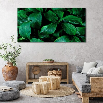 Foto auf leinwand Grüne Blättersymphonie