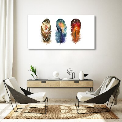 Leinwandbild Bunte Federn