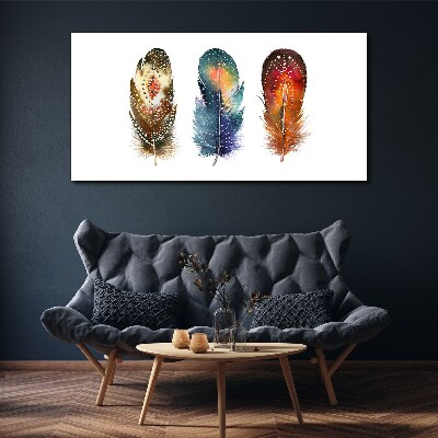 Leinwandbild Bunte Federn