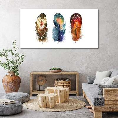 Leinwandbild Bunte Federn