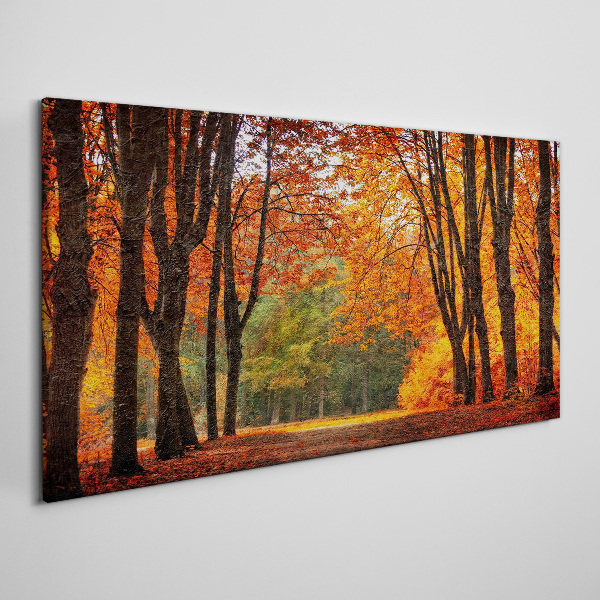 Foto auf leinwand Herbstliche Baumallee