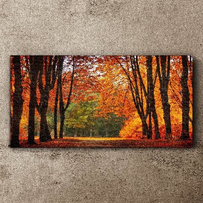 Foto auf leinwand Herbstliche Baumallee