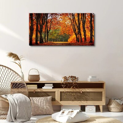 Foto auf leinwand Herbstliche Baumallee