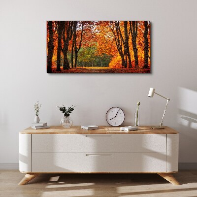 Foto auf leinwand Herbstliche Baumallee