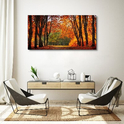 Foto auf leinwand Herbstliche Baumallee