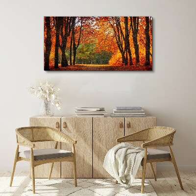 Foto auf leinwand Herbstliche Baumallee