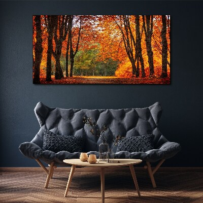 Foto auf leinwand Herbstliche Baumallee