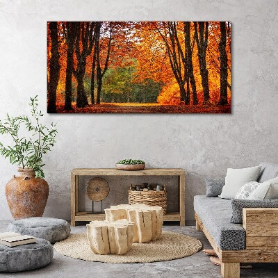 Foto auf leinwand Herbstliche Baumallee