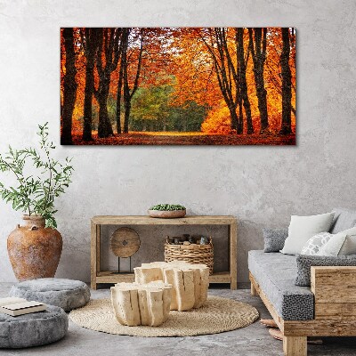 Foto auf leinwand Waldherbstnatur