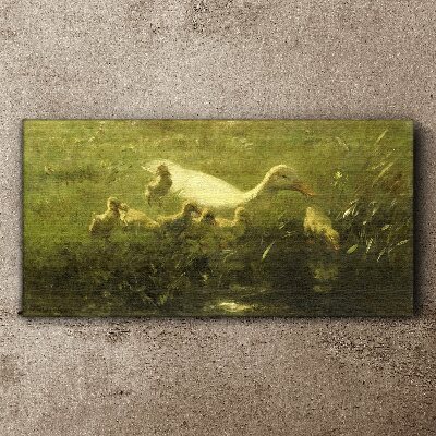 Foto auf leinwand Tiere Enten Gras Natur