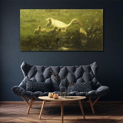 Foto auf leinwand Tiere Enten Gras Natur