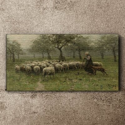 Foto auf leinwand Schafe grasen in einer mystischen Landschaft