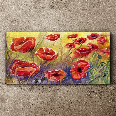 Foto auf leinwand Rote Mohnblumen gegen die Sonne