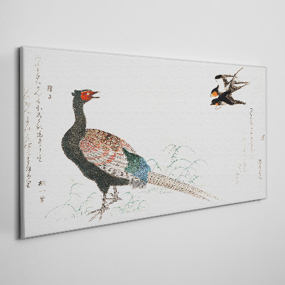 Foto auf leinwand Pfauentanz in Frühlingslandschaft