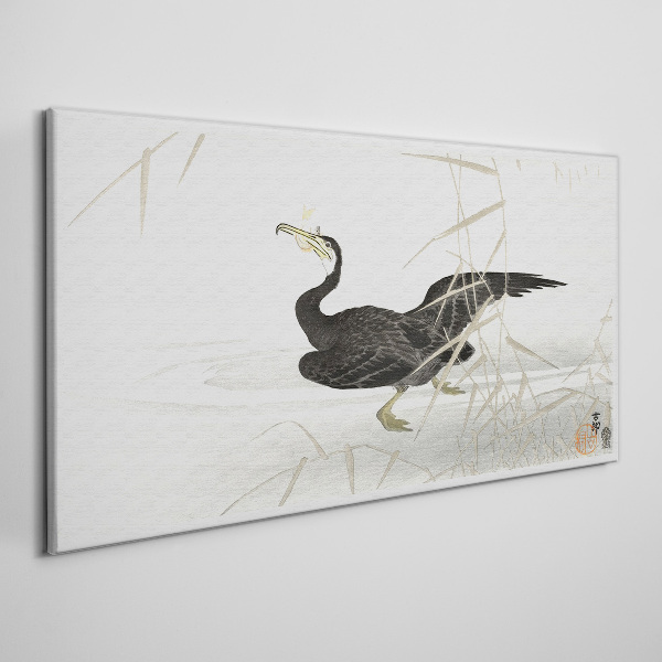 Foto auf leinwand Schwarzer Kormoran im Schilf