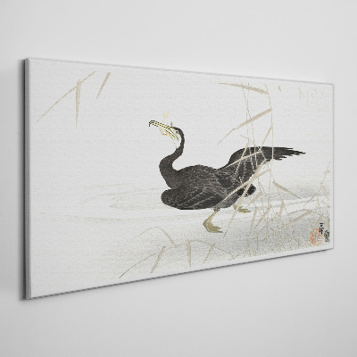 Foto auf leinwand Schwarzer Kormoran im Schilf