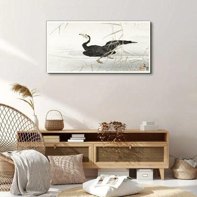 Foto auf leinwand Schwarzer Kormoran im Schilf