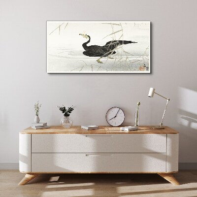 Foto auf leinwand Schwarzer Kormoran im Schilf