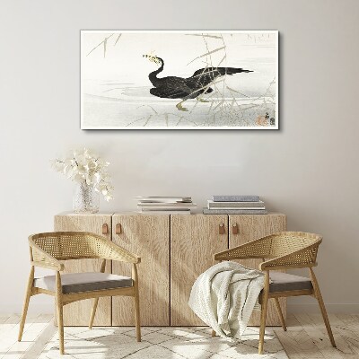 Foto auf leinwand Schwarzer Kormoran im Schilf