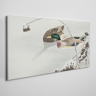Bild auf leinwand Eine friedliche Szene mit Enten