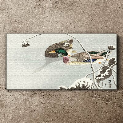 Bild auf leinwand Eine friedliche Szene mit Enten