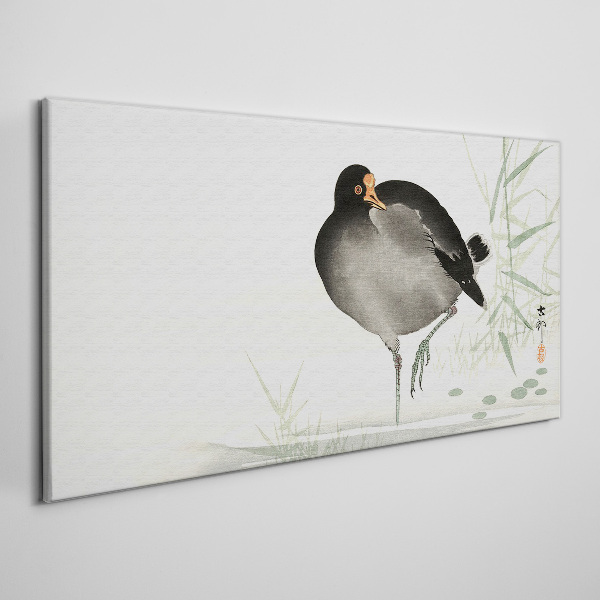 Foto auf leinwand Vogel auf dem Grashintergrund
