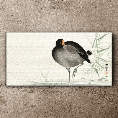 Foto auf leinwand Vogel auf dem Grashintergrund