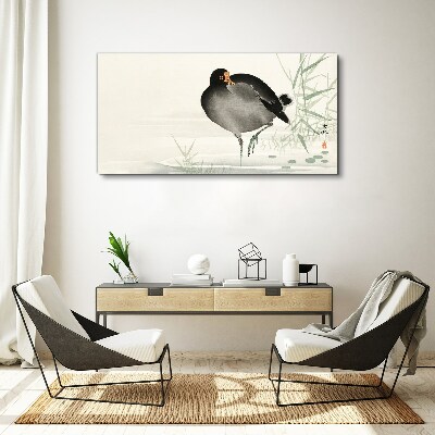 Foto auf leinwand Vogel auf dem Grashintergrund