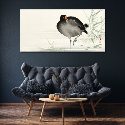 Foto auf leinwand Vogel auf dem Grashintergrund