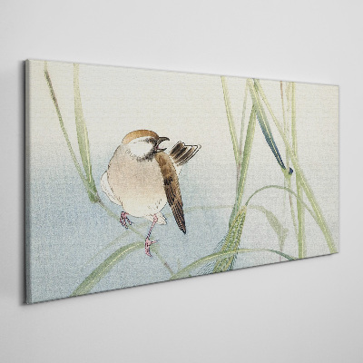 Foto auf leinwand Eine Meise gegen das Gras
