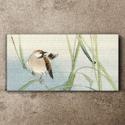 Foto auf leinwand Eine Meise gegen das Gras