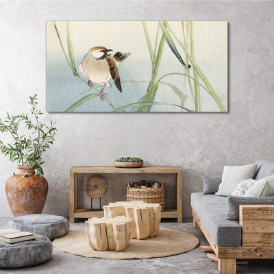 Foto auf leinwand Eine Meise gegen das Gras