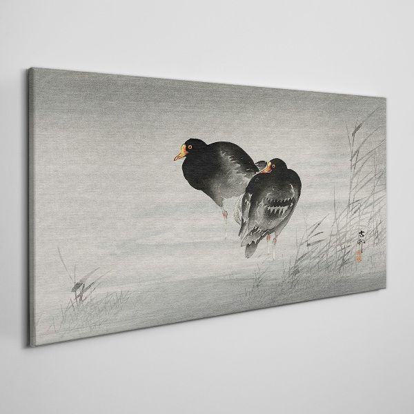 Foto auf leinwand Zwei Enten auf ruhigem Wasser