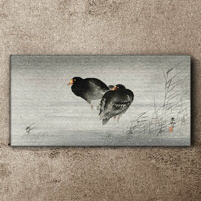 Foto auf leinwand Zwei Enten auf ruhigem Wasser