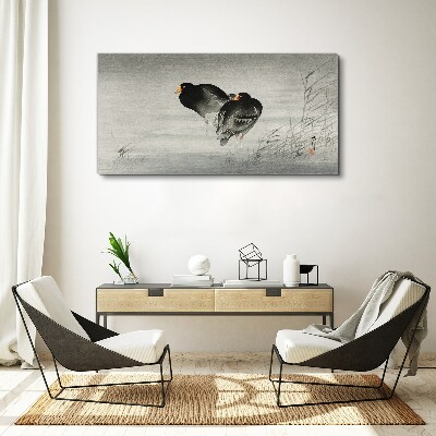 Foto auf leinwand Zwei Enten auf ruhigem Wasser