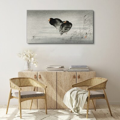 Foto auf leinwand Zwei Enten auf ruhigem Wasser