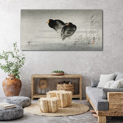 Foto auf leinwand Zwei Enten auf ruhigem Wasser