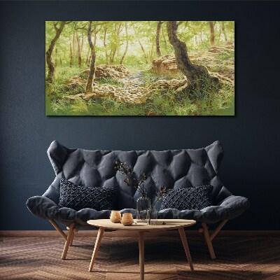 Foto auf leinwand Grüne Waldlandschaft mit Steinen