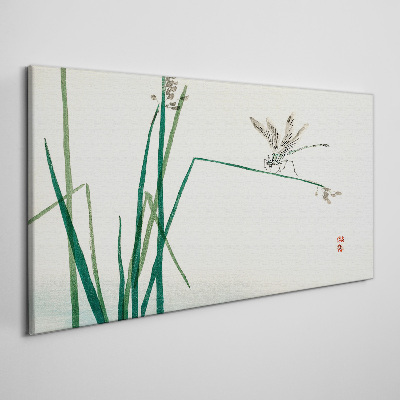 Bild auf leinwand Die Zartheit der Natur mit einem Schmetterling