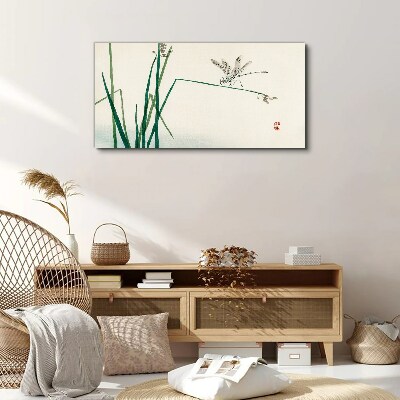 Bild auf leinwand Die Zartheit der Natur mit einem Schmetterling