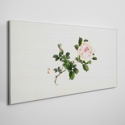 Foto auf leinwand Pfingstrose Blume auf einem hellen Hintergrund