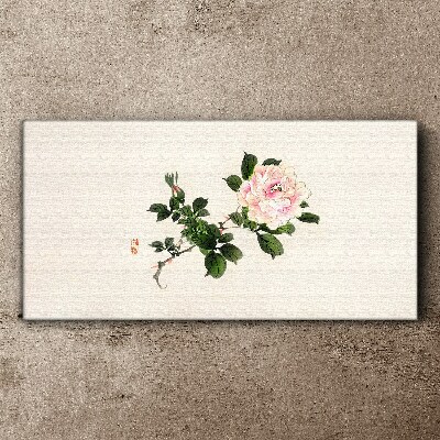 Foto auf leinwand Pfingstrose Blume auf einem hellen Hintergrund