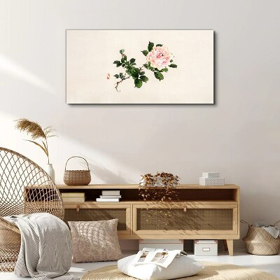 Foto auf leinwand Pfingstrose Blume auf einem hellen Hintergrund