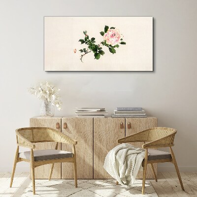 Foto auf leinwand Pfingstrose Blume auf einem hellen Hintergrund