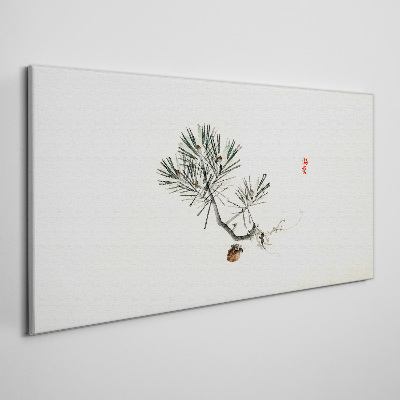 Foto auf leinwand Kiefer auf weißem Hintergrund
