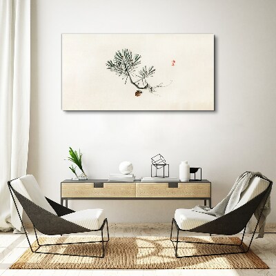 Foto auf leinwand Kiefer auf weißem Hintergrund